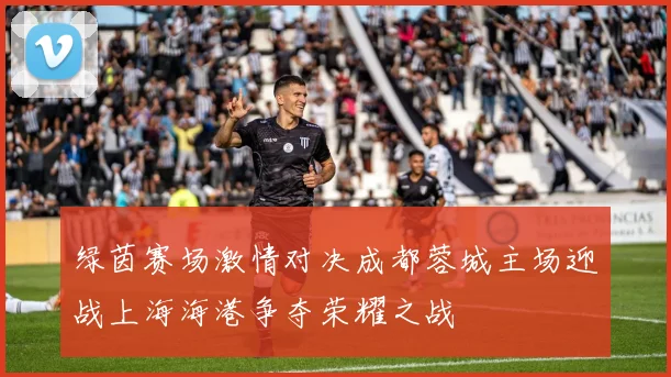 绿茵赛场激情对决成都蓉城主场迎战上海海港争夺荣耀之战